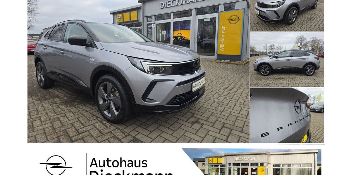 Opel Grandland (X) 7.906 km 22.940 &euro; Worpswede 27726