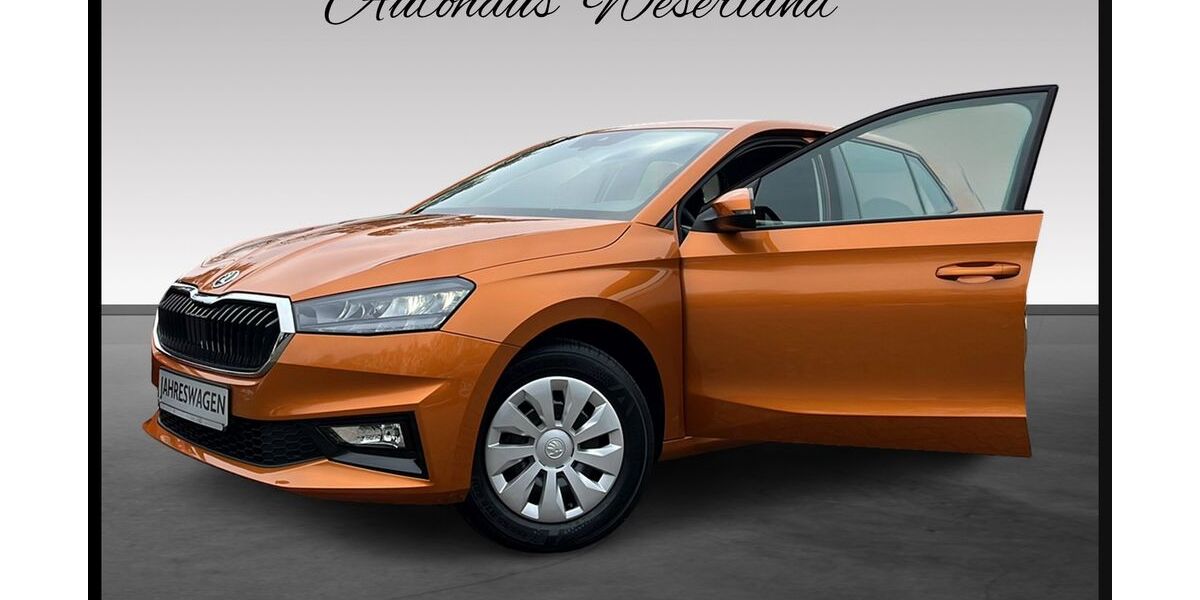 Skoda Fabia 14.162 km 17.990 &euro; Delmenhorst 27755