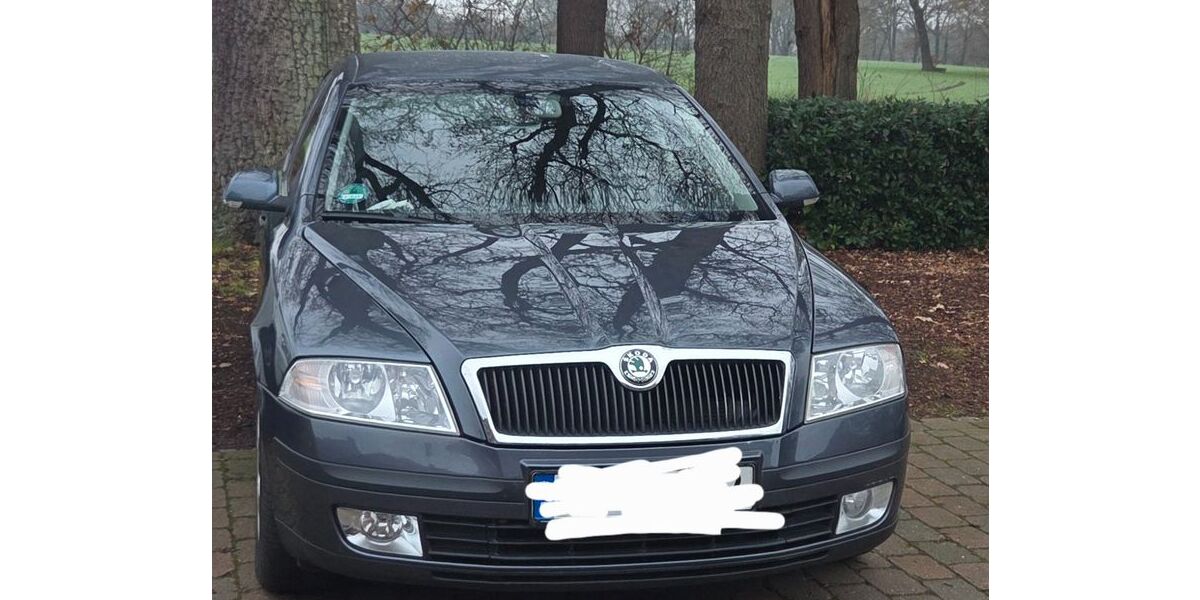 Skoda Octavia 221.600 km 2.599 &euro; Delmenhorst 27749