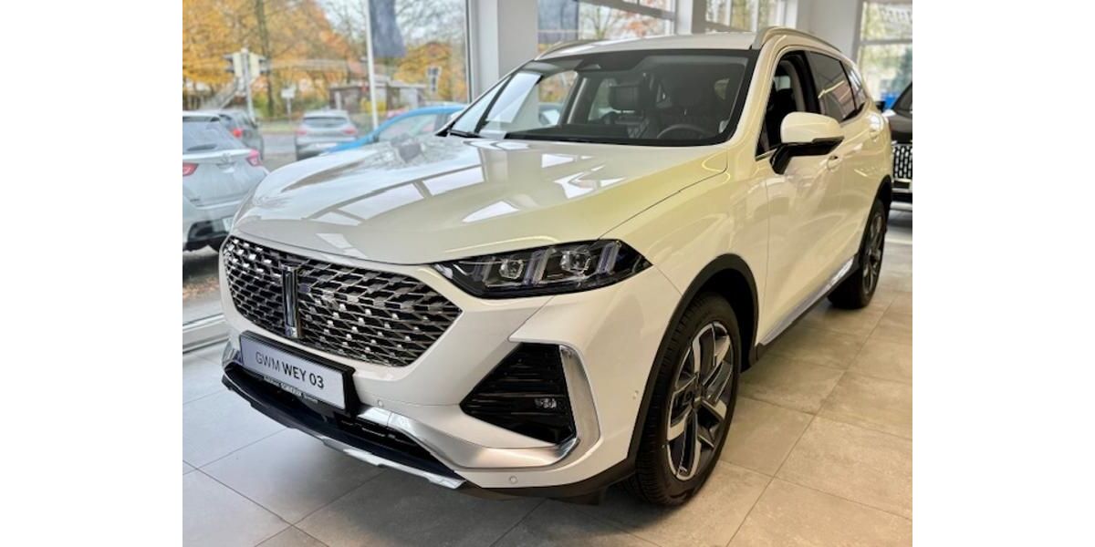 GWM Wey 03 13.572 km 37.990 &euro; Bremen 28237