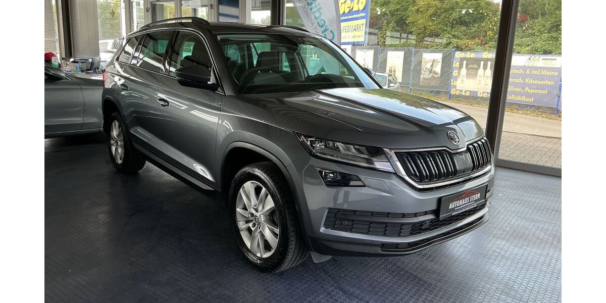 Skoda Kodiaq 250.000 km 17.100 &euro; Bremen 28201