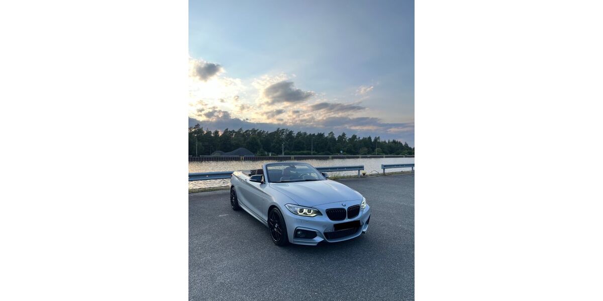 BMW 220 110.000 km 19.999 &euro; Bremen 28325